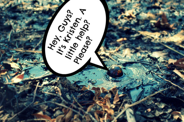 Original Image via Flickr Creative Commons, courtesy of Mike Spasoff