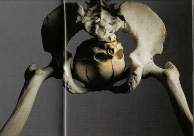 screen-shot-2017-01-17-at-10-03-56-am